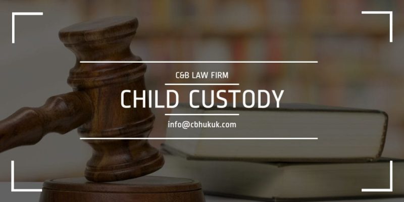 child custody in turkey